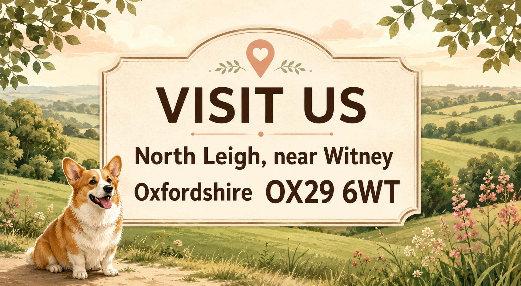 Witney Dog Boarding and Grooming in North Leigh, serving Kidlington dog owners