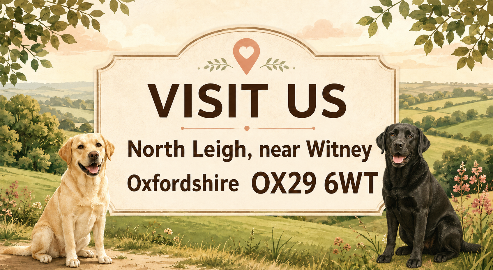 Visit Witney Dog Boarding and Grooming in North Leigh near Witney, with a golden Labrador and black Labrador