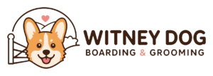 Witney Dog Boarding and Grooming